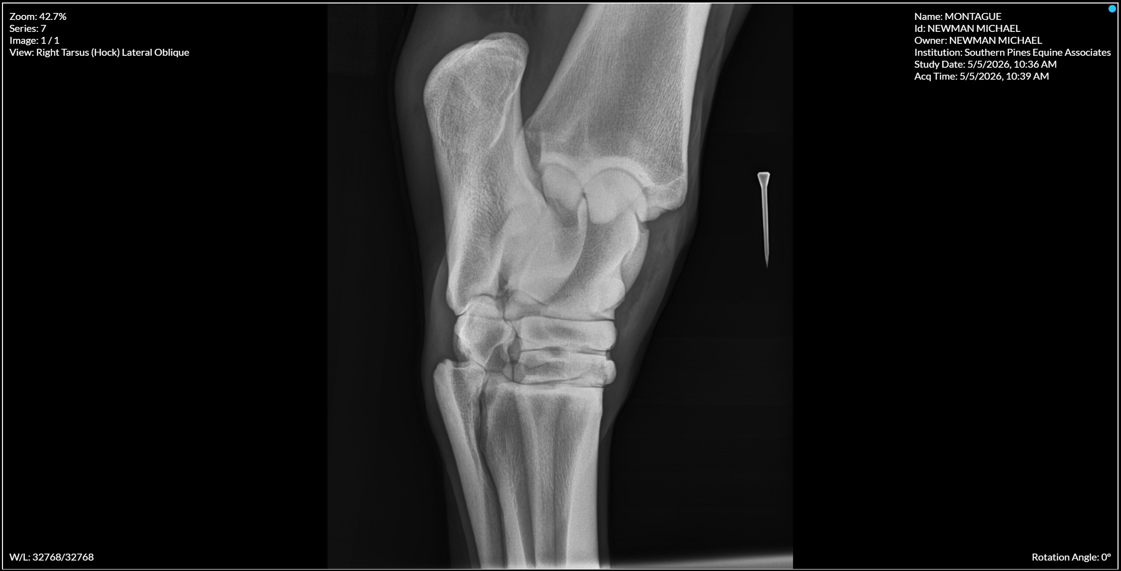 Right Tarsus Hock Lateral Oblique